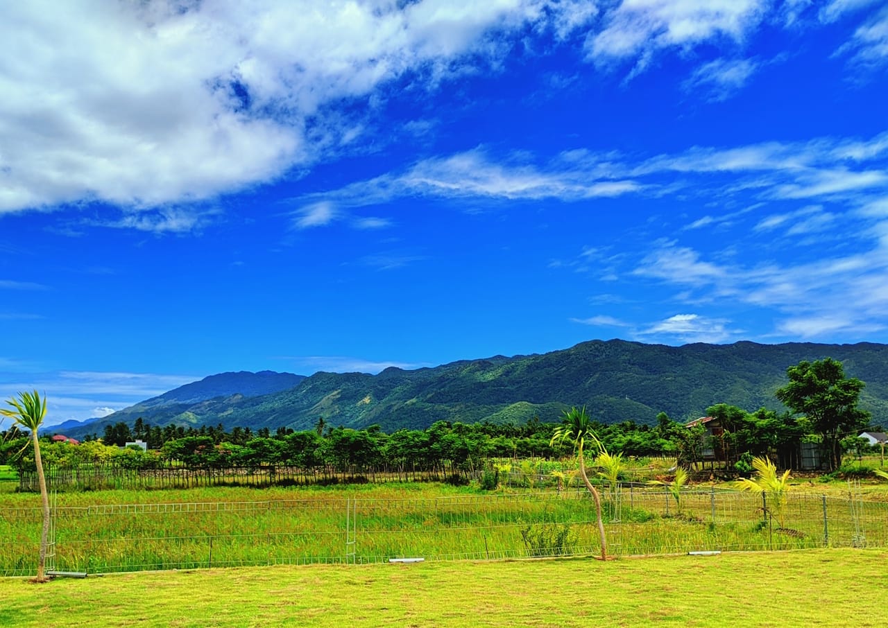 Serene Mountain Vista